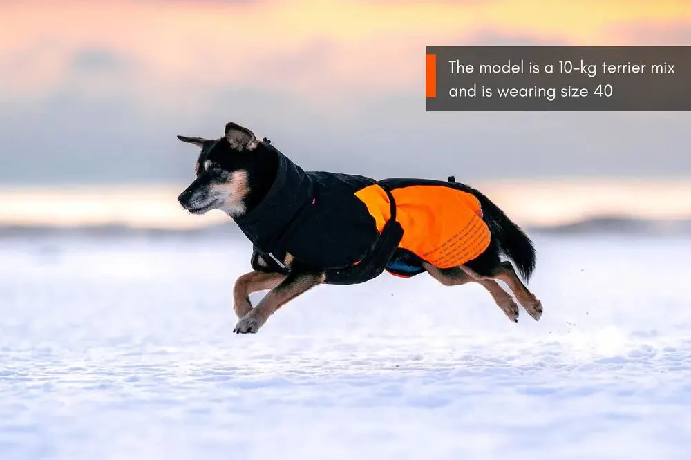 Glacier 2.0 Insulated Dog Jacket