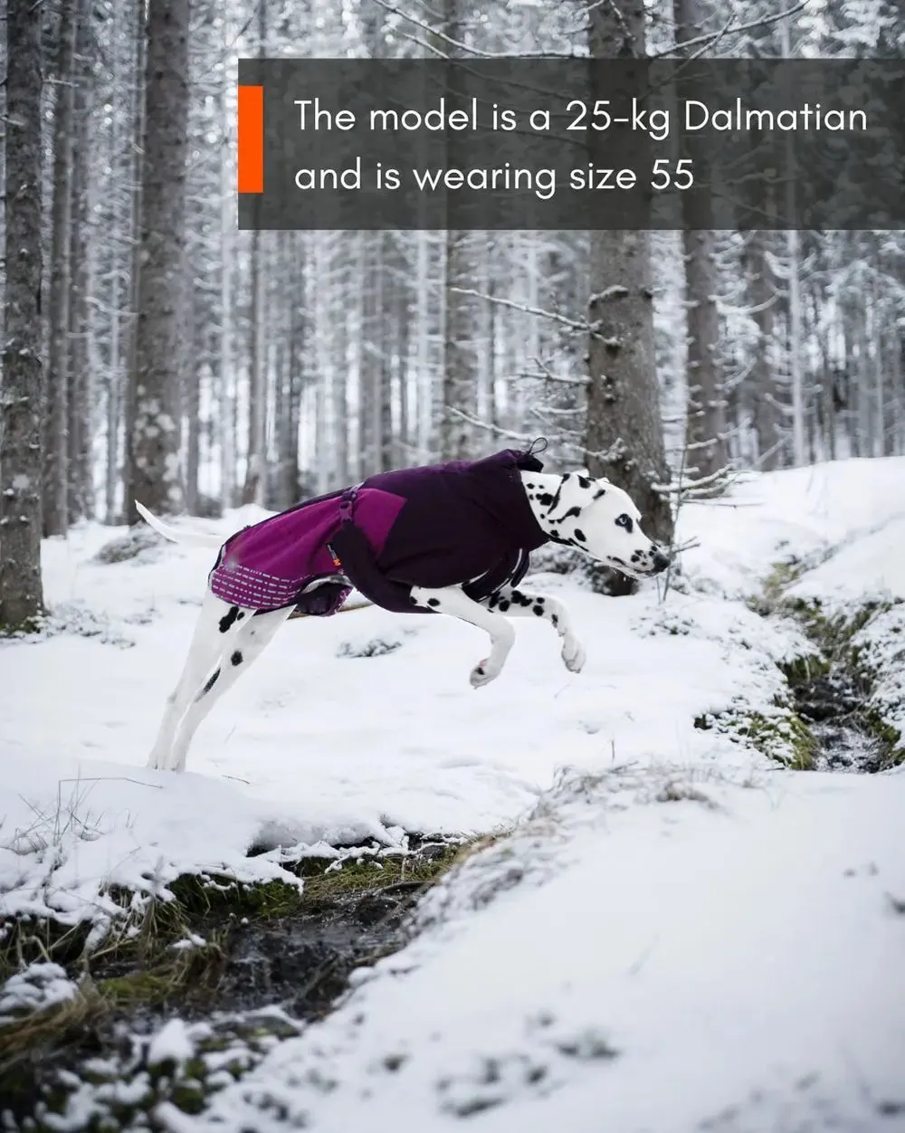 Glacier 2.0 Insulated Dog Jacket
