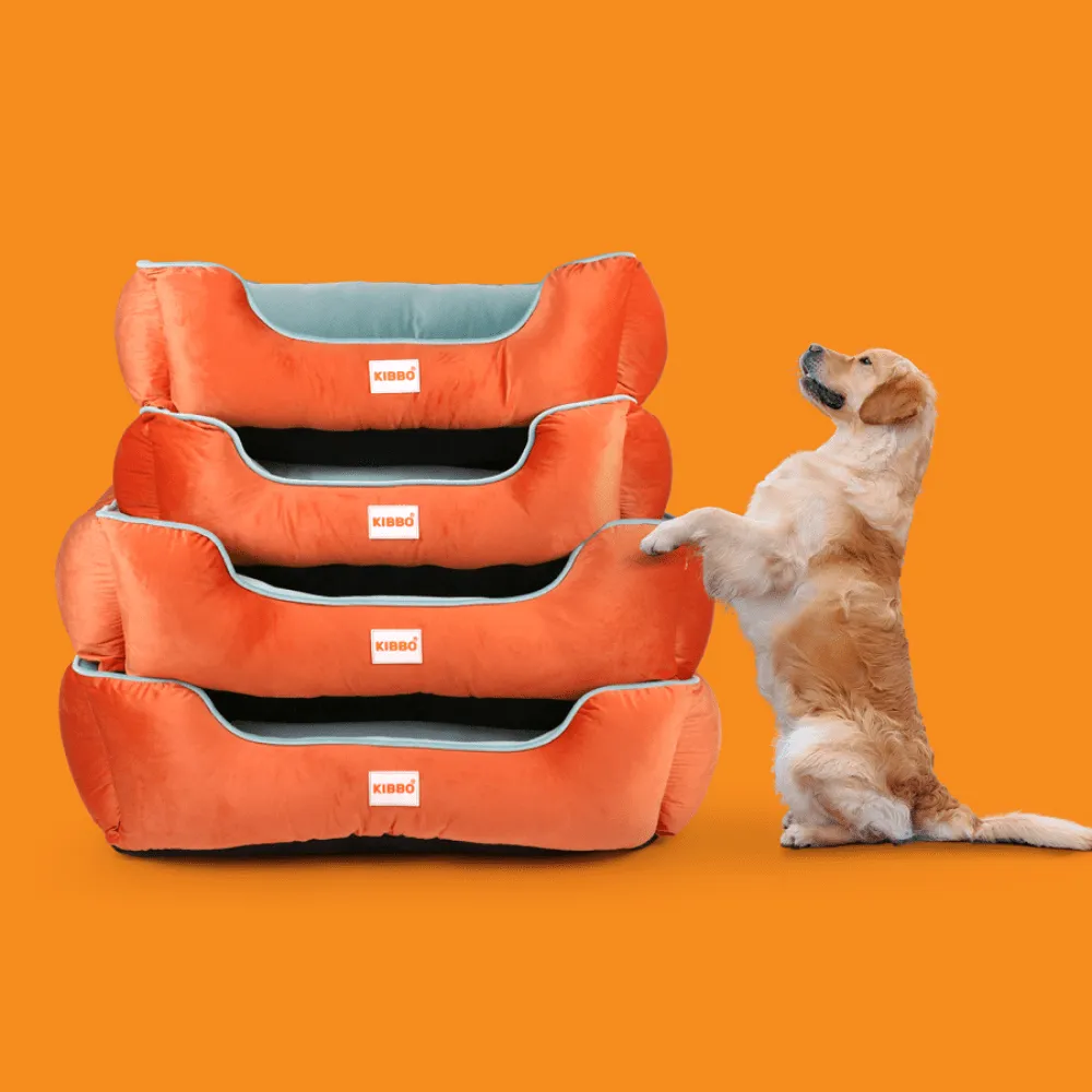 Kibbo Lounger Bed for Dogs and Cats (Aqua/Blue)